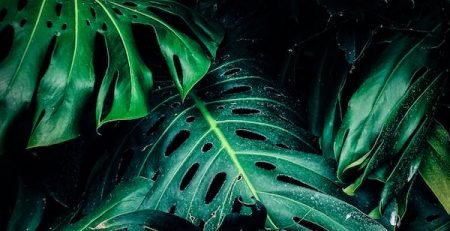 Instagram Stories Can Now Be 'Boosted'