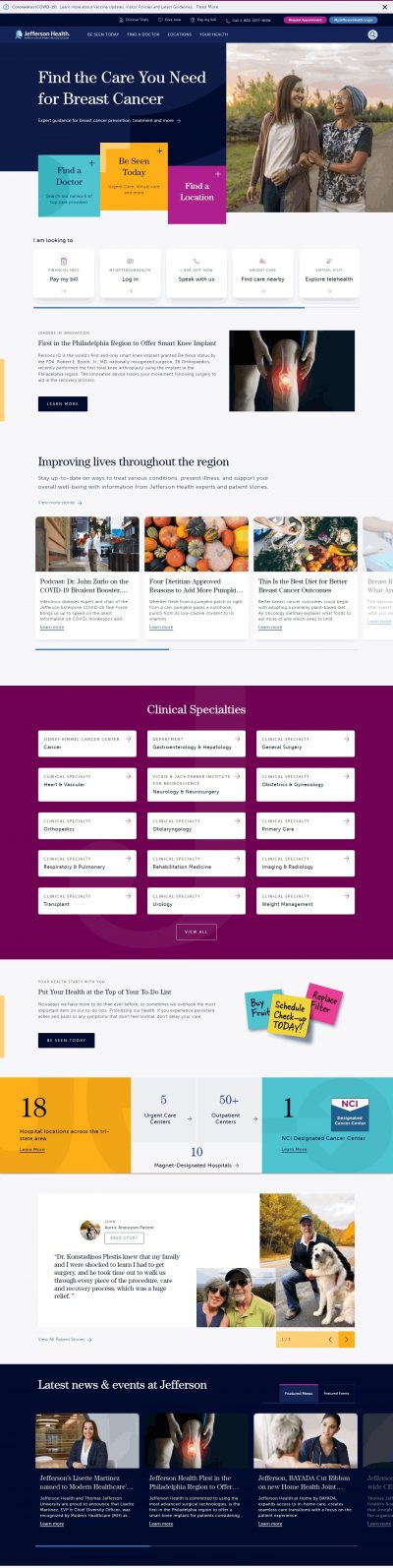 softglaze portfolio