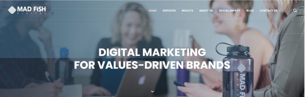 Madfishdigital website
