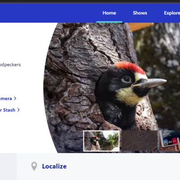 PBS Website portfolio