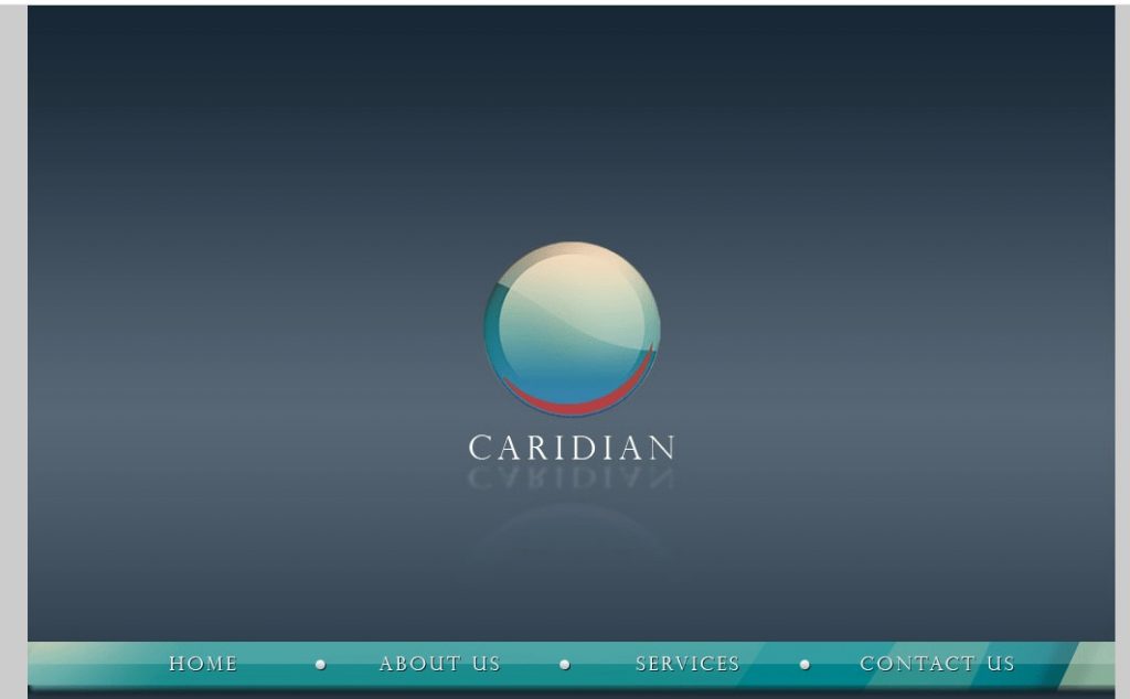 Caridian Consulting website