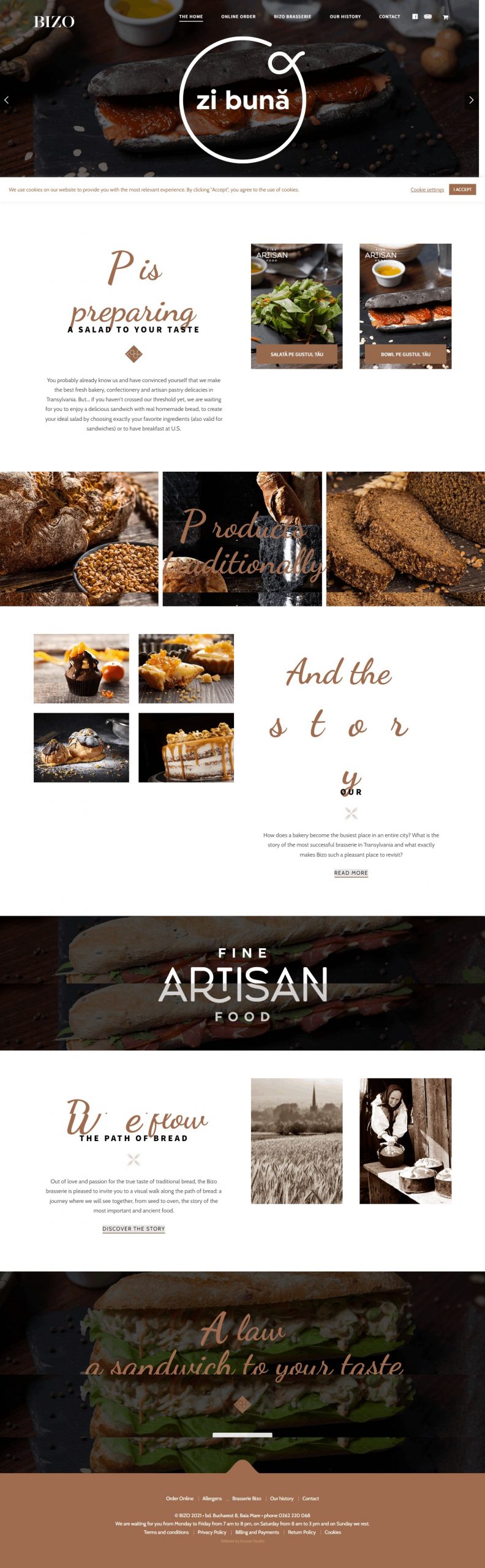 Bizo Website Design​