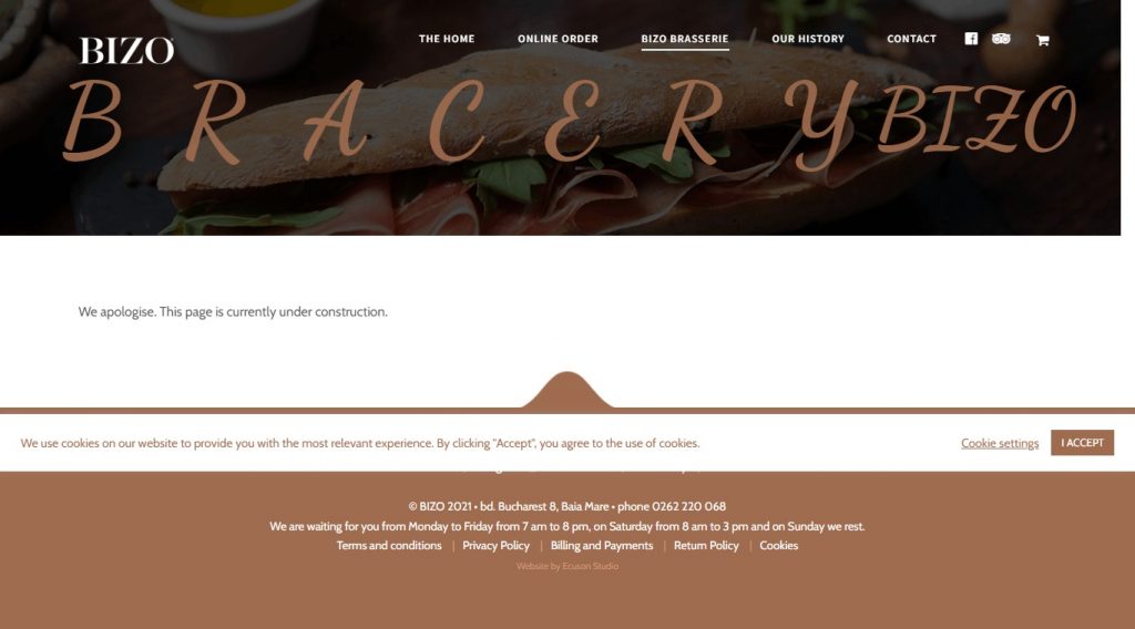 Bizo Website Design​