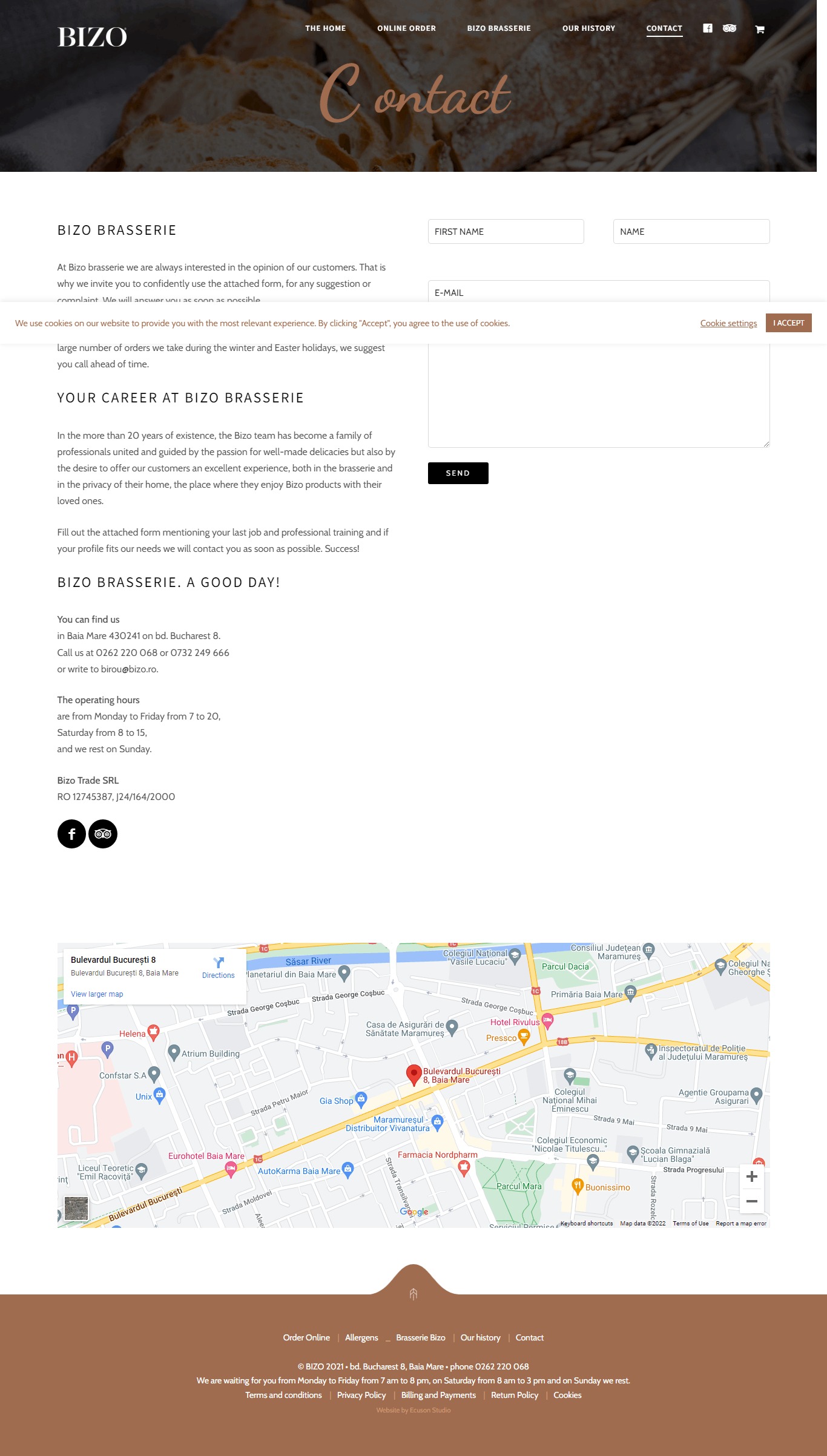 Bizo Website Design​