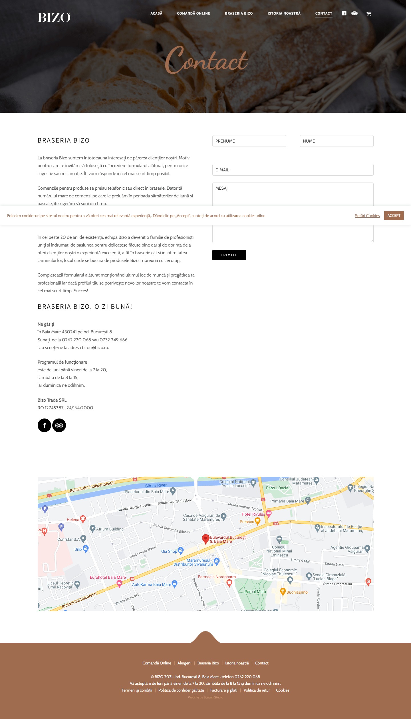 softglaze portfolio