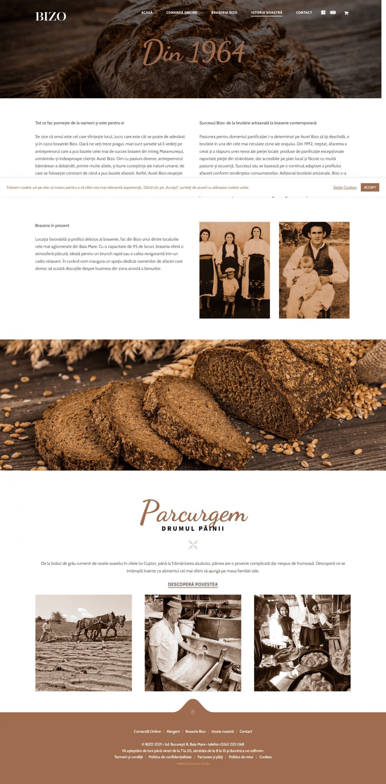 softglaze portfolio