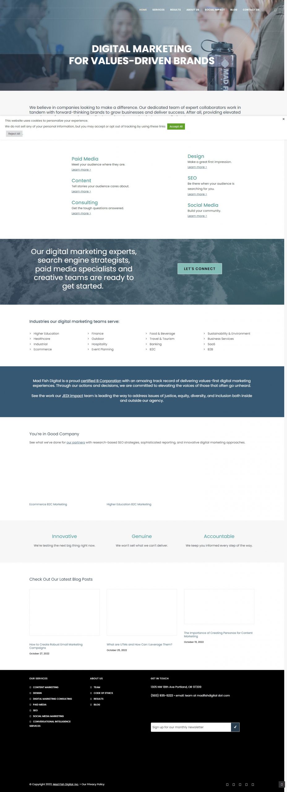 Mad Fish Digital website Search Engine Optimization​