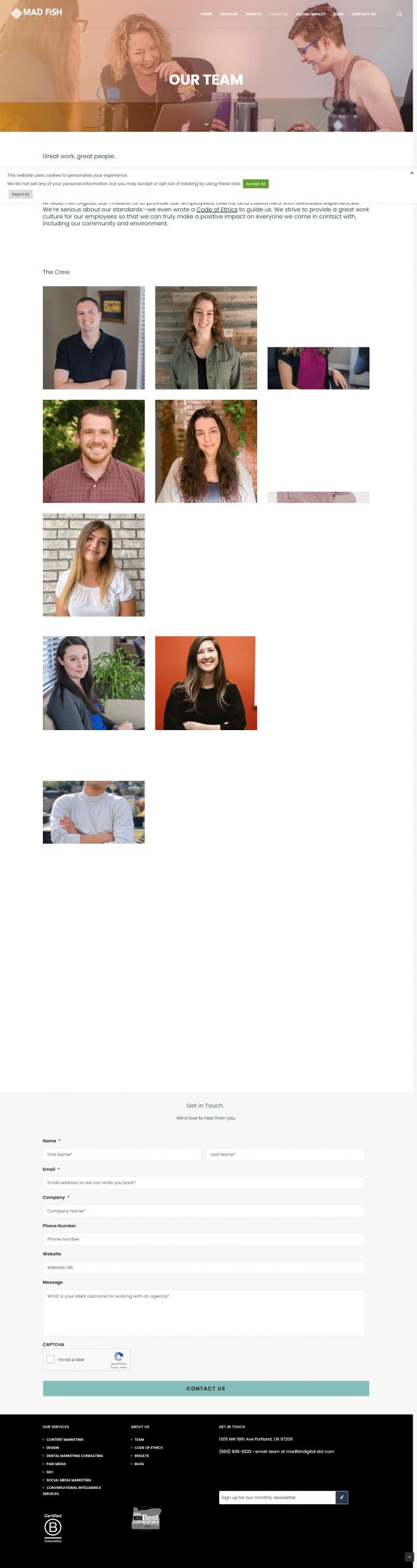 Mad Fish Digital website Search Engine Optimization​