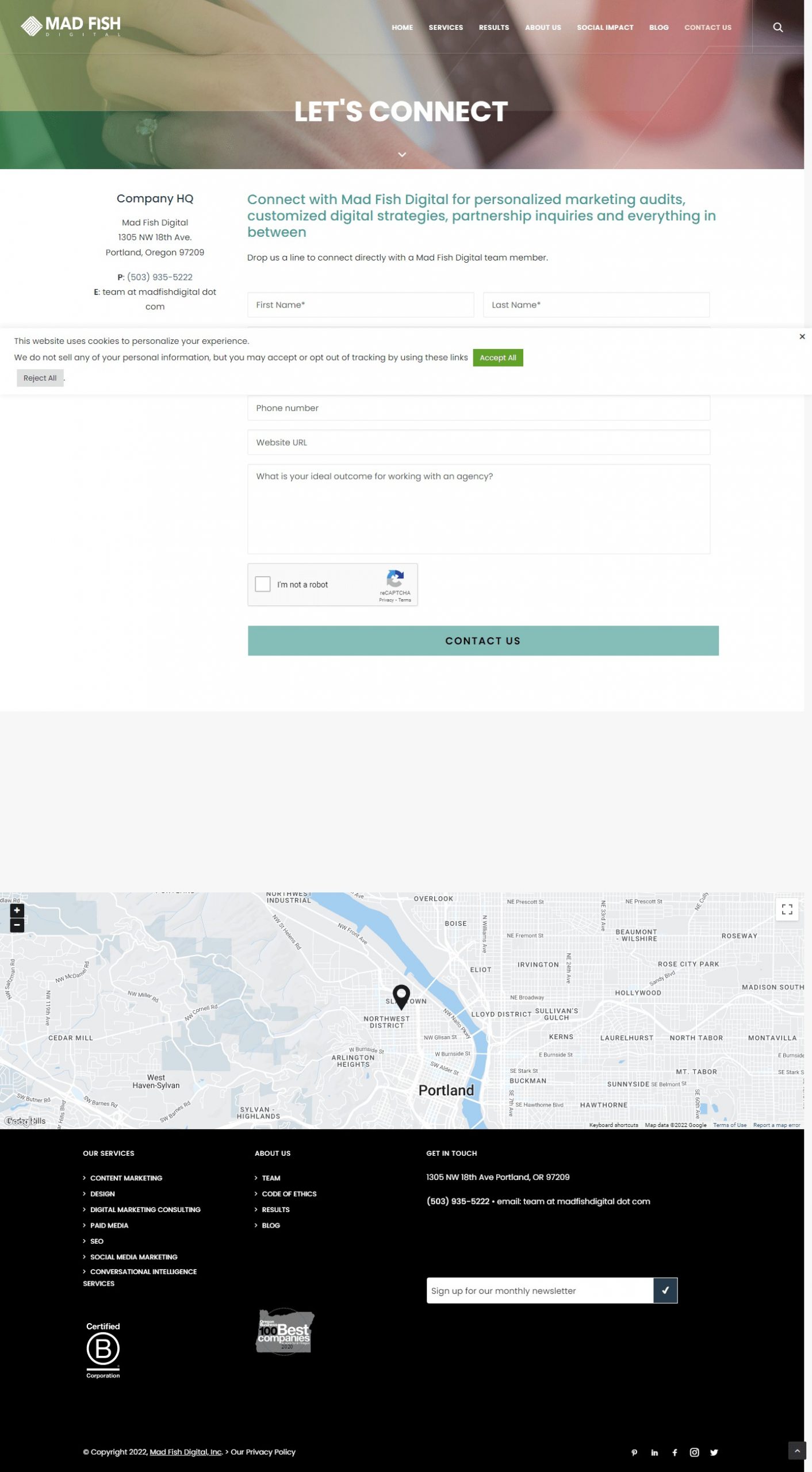 Mad Fish Digital website Search Engine Optimization​