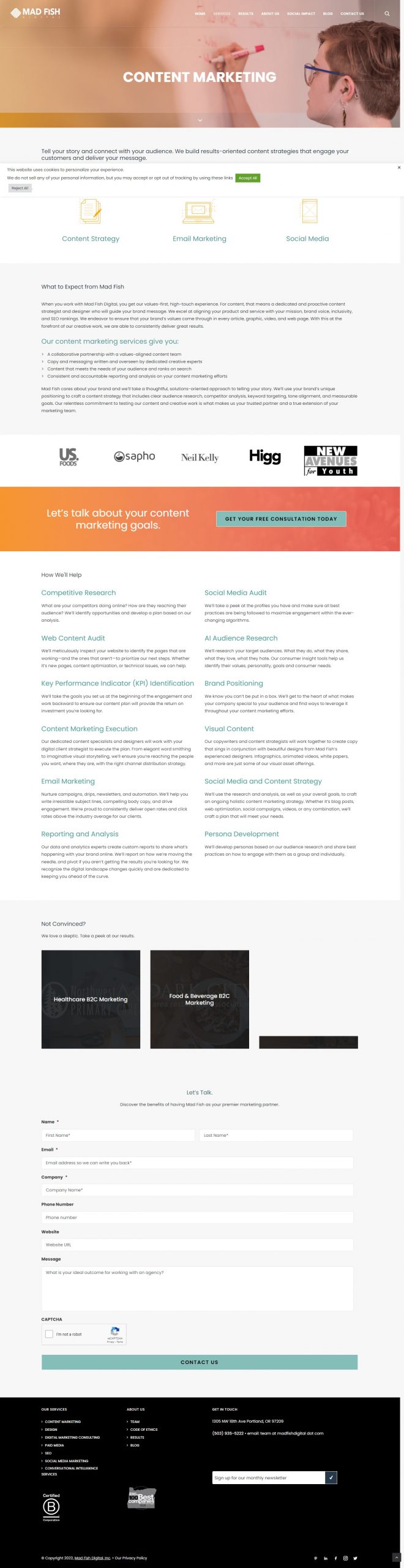 Mad Fish Digital website Search Engine Optimization​