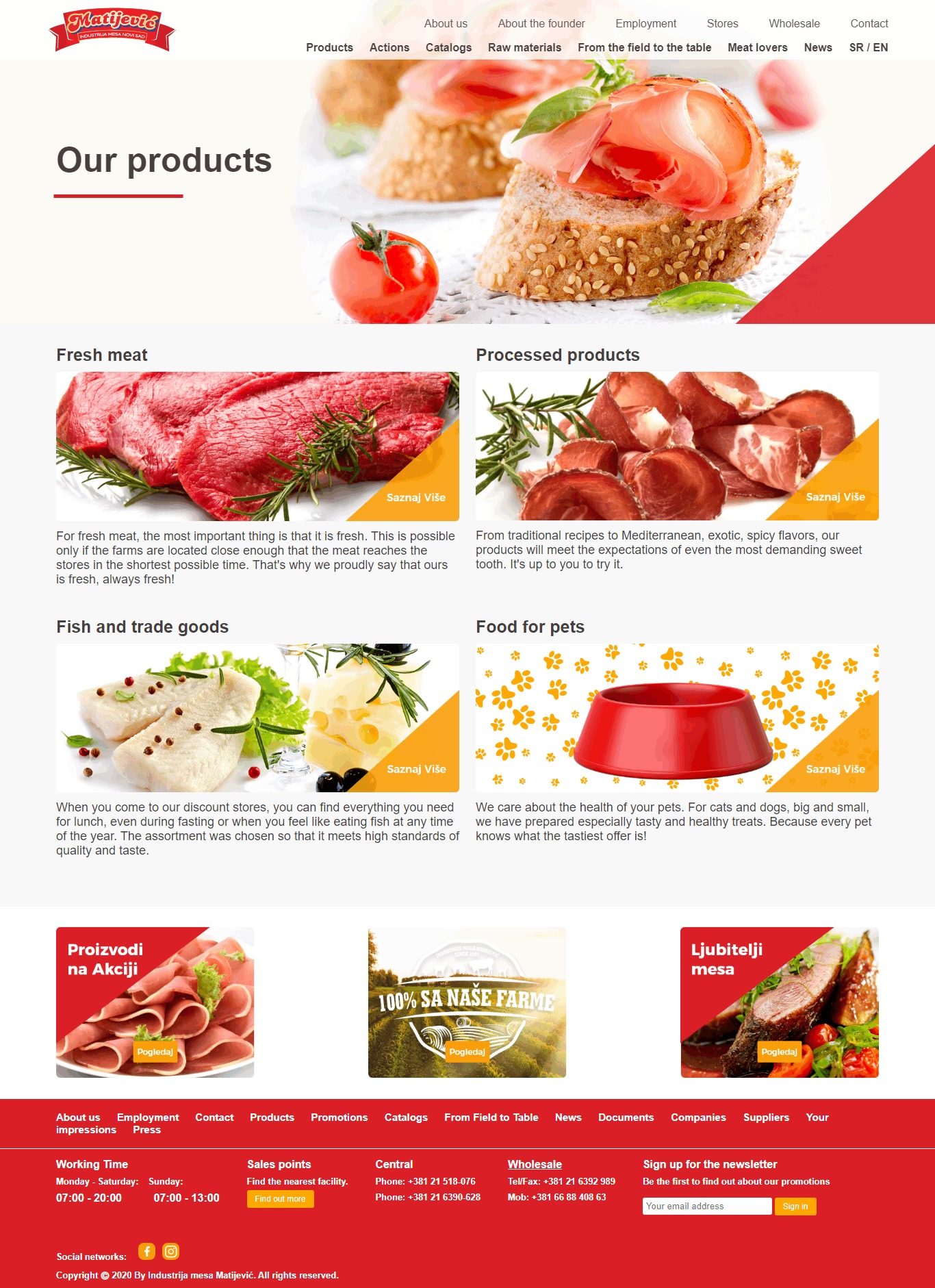 Matijevic Website Design​