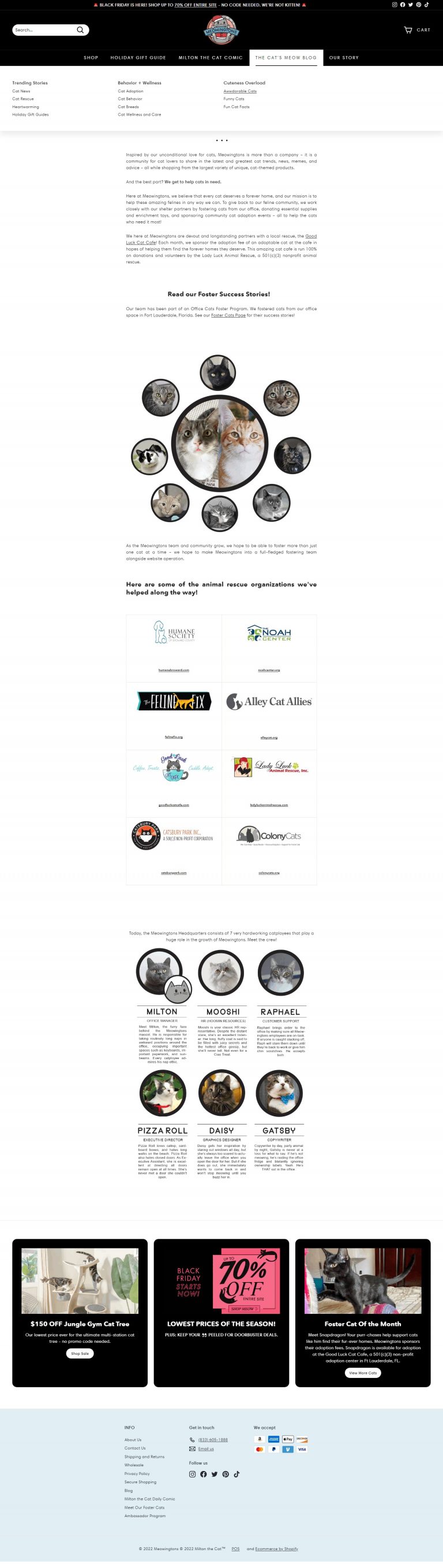 Meo Business Strategy​