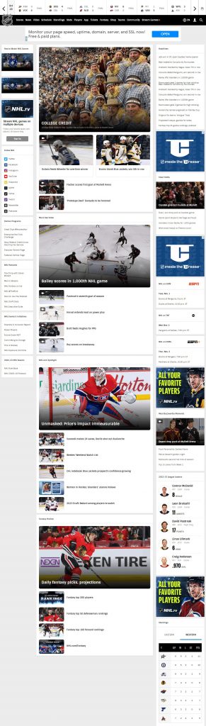 Nhl Captures Website Design​
