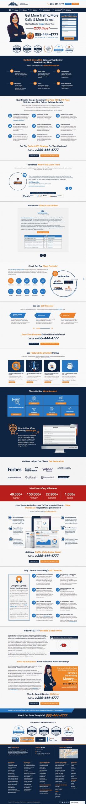 Search Berg website Search Engine Optimization​