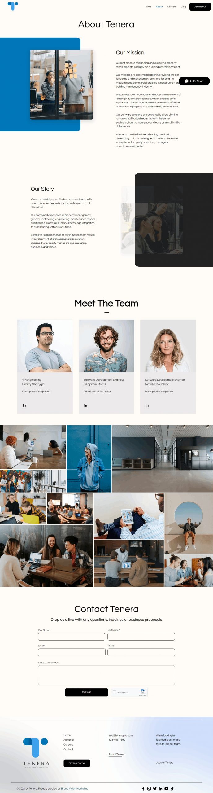 Tenera Pro website Search Engine Optimization​