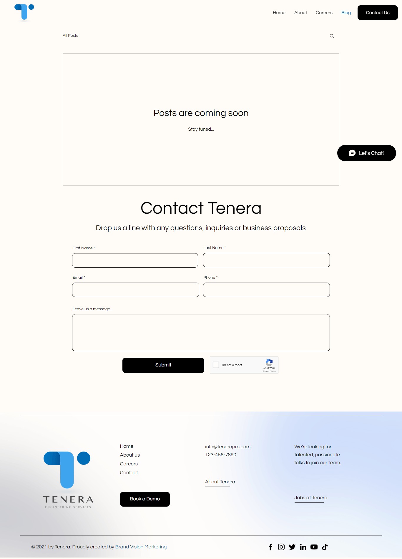 Tenera Pro website Search Engine Optimization​