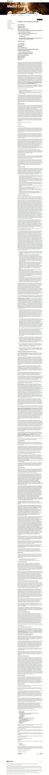 Trip Advisor website search Engine Optimization​