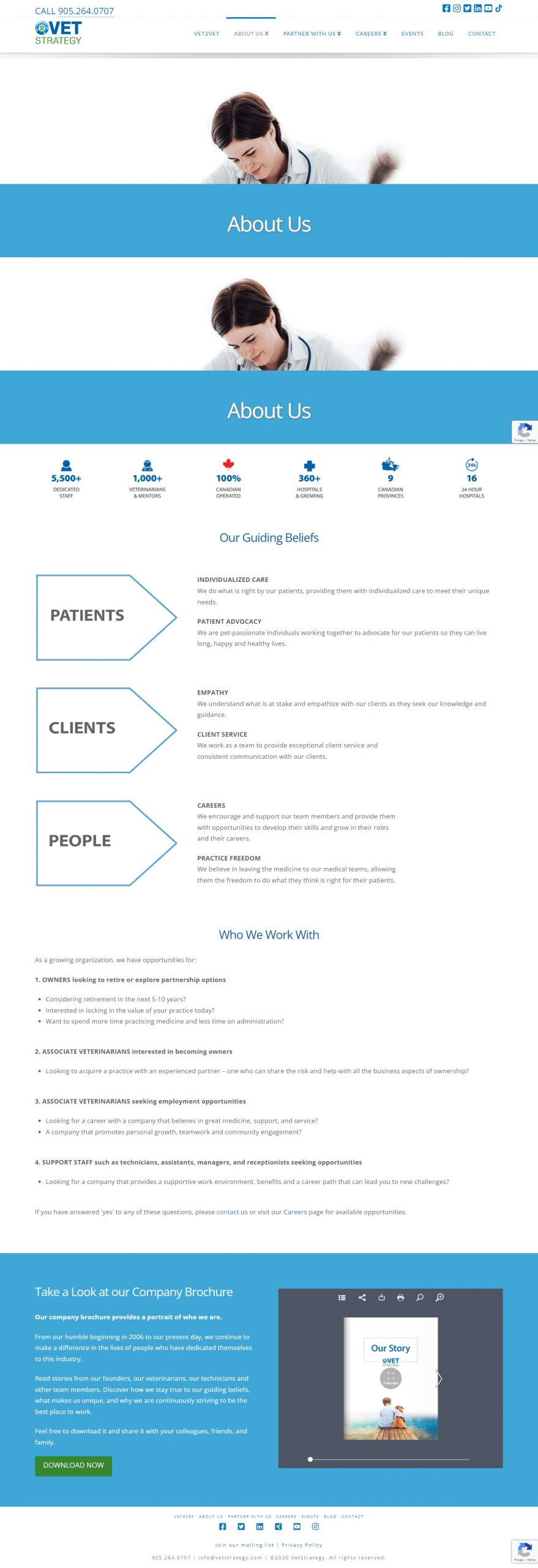 Vet Strategy Website Development​