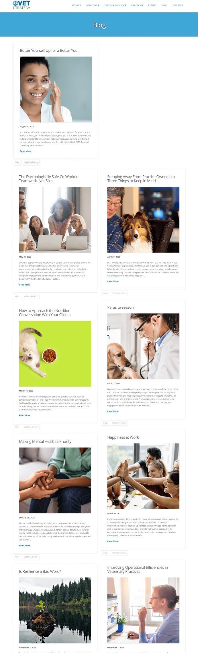 Vet Strategy Website Development​