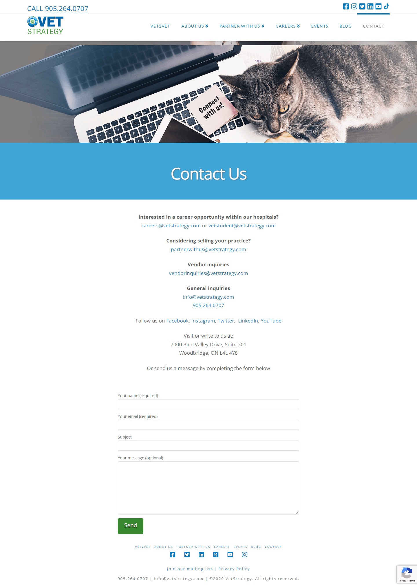 Vet Strategy Website Development​