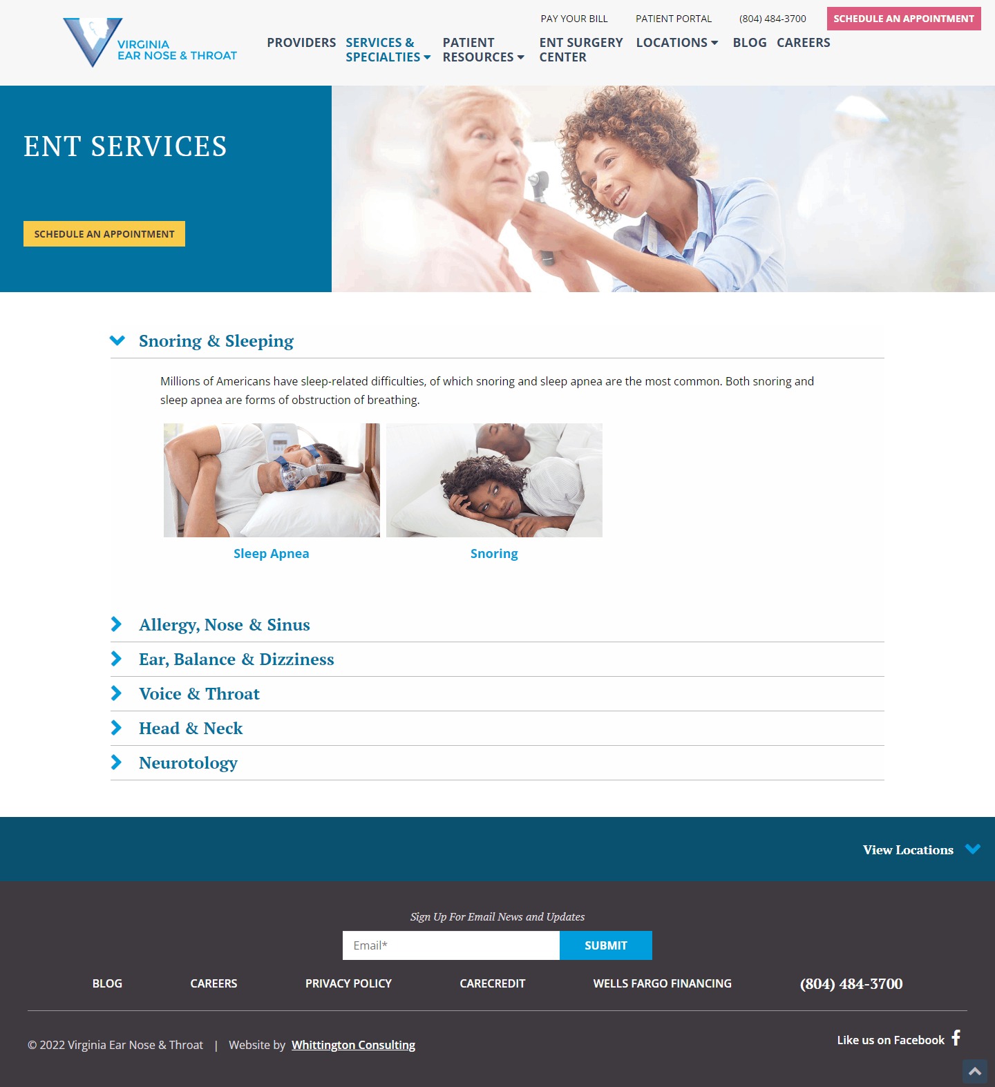 Virginia Ent website Search Engine Optimization