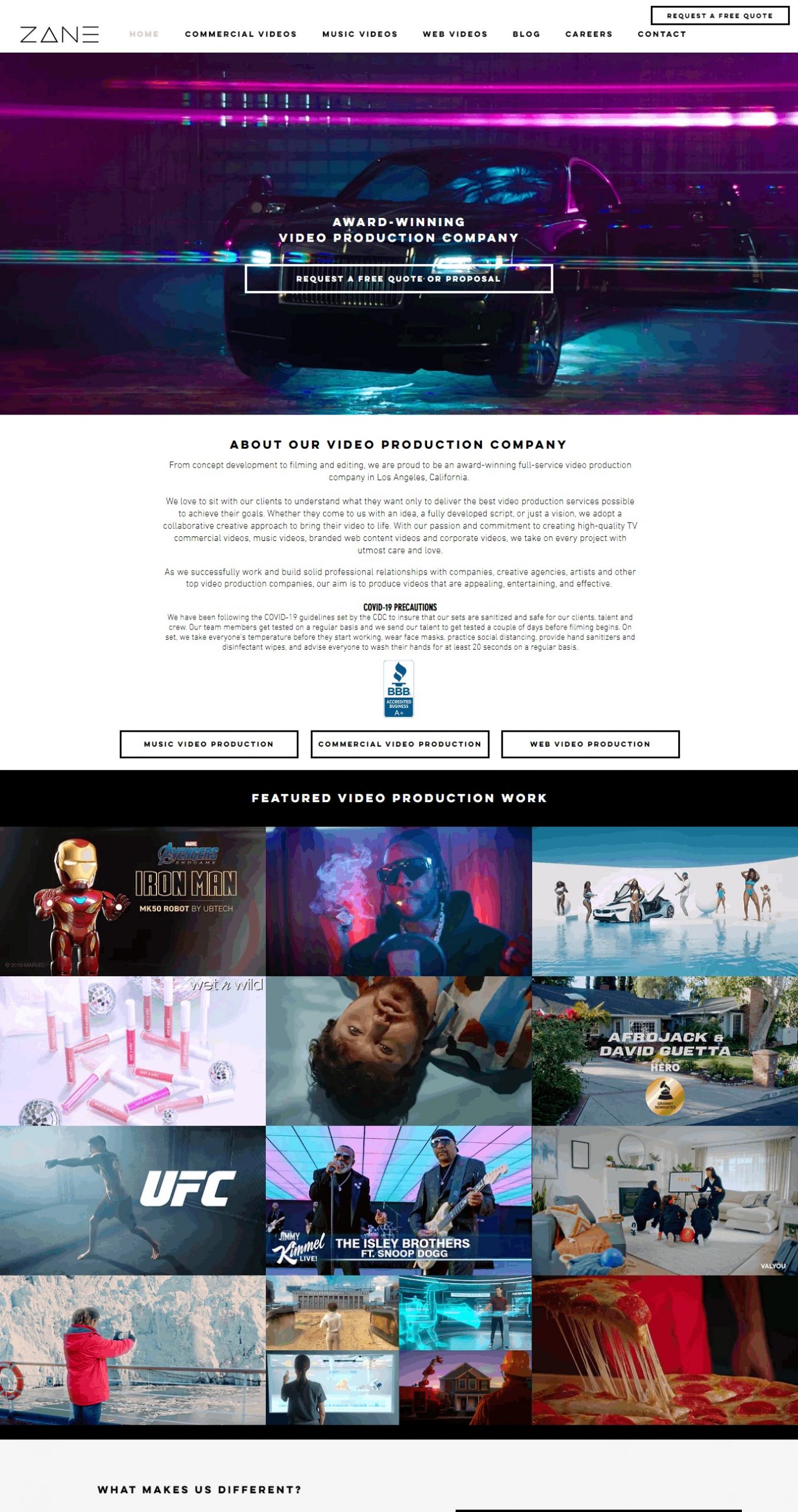 Zane Website Copy and Content Writing​