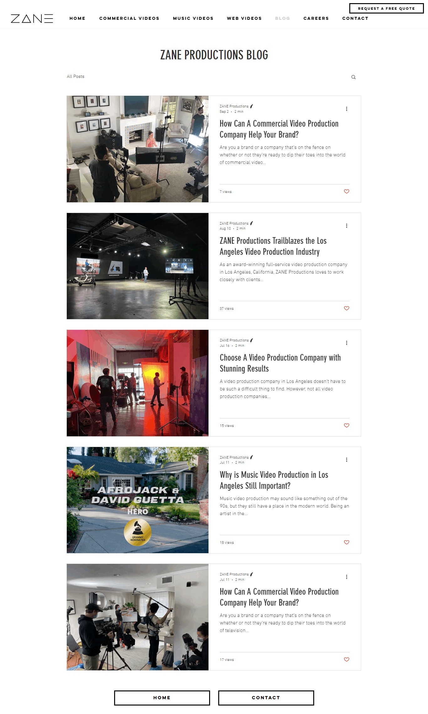 Zane Website Copy and Content Writing​